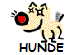 HUNDE