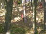 Bild12