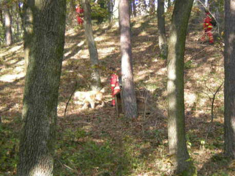 Bild12