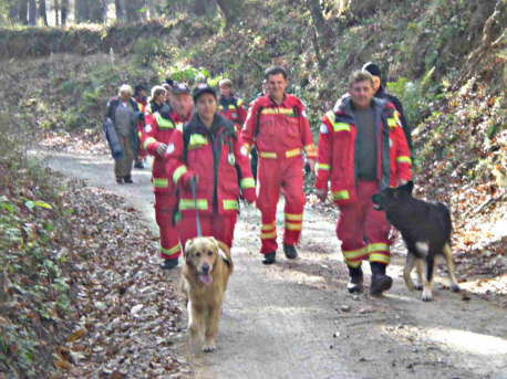 Bild15