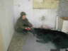 Cedric02