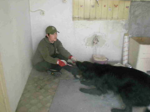 Cedric02