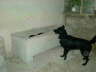 DSCN3313