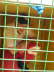 DSCN3335