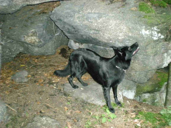 Schneben20